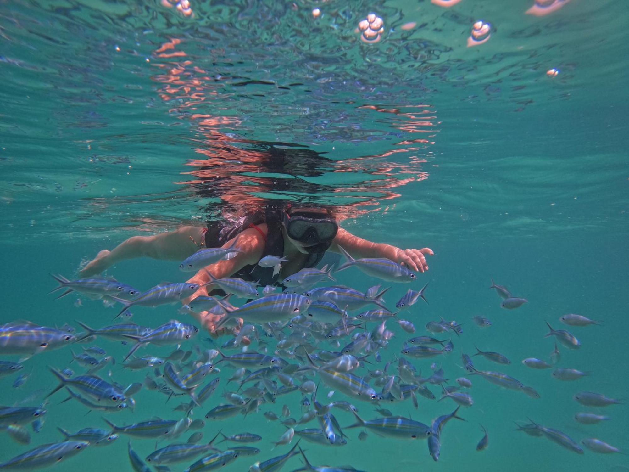 Blue Water Thoddoo Inn Rom bilde