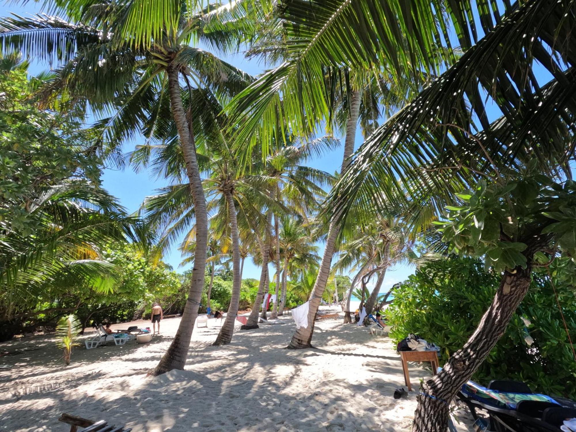 Blue Water Thoddoo Inn Rom bilde