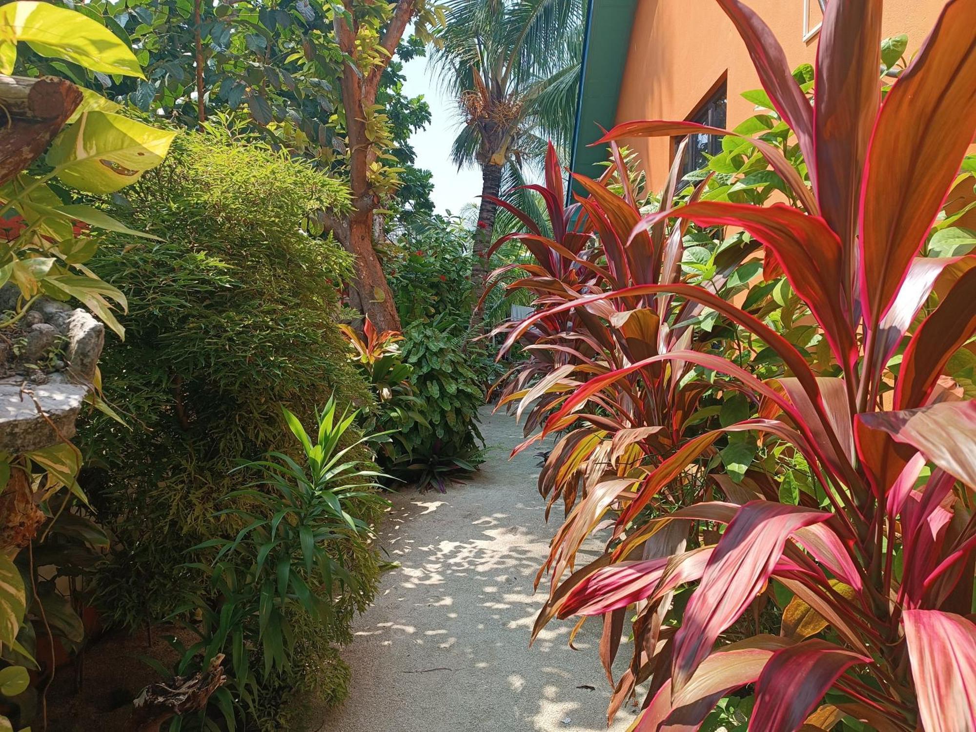 Blue Water Thoddoo Inn Rom bilde